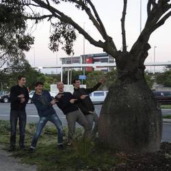 Baum in Australien